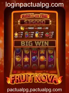 Descubra o Fascinante Mundo de FruitNova: Uma Viagem em Meio às Frutas Virtuais