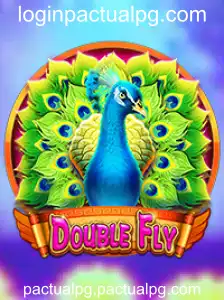 Explorando o Mundo de DoubleFly: Um Guia Completo