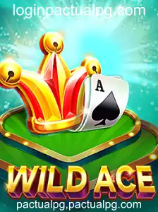 Explorando o Mundo de WildAce